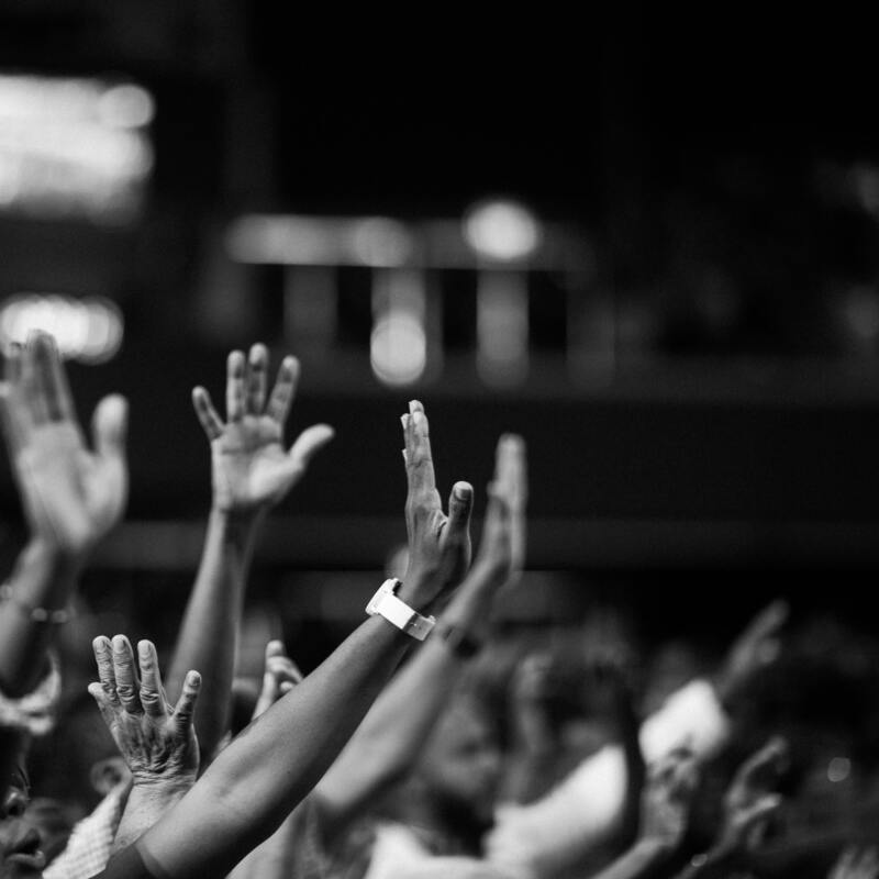 pexels-jibarofoto-2014775 (1) (1)